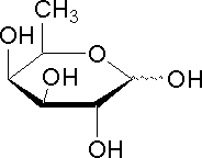 d( )岩藻糖 [cas:3615-37-0]99% 1g