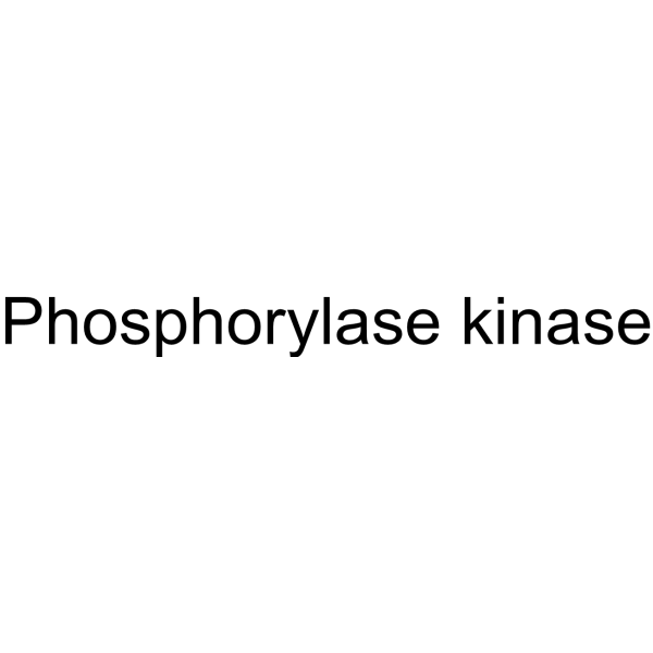 Molecular structure of