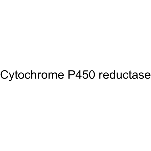Molecular structure of