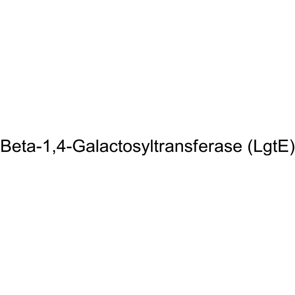 Molecular structure of