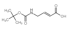 Molecular structure of C9H15NO4