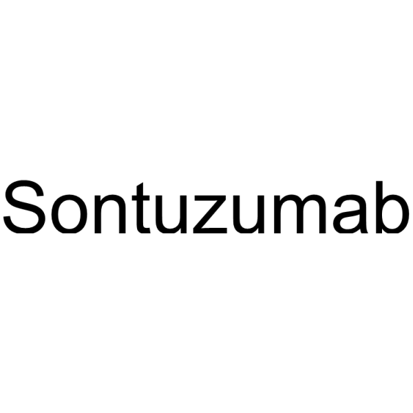 Molecular structure of