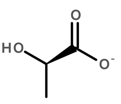 Molecular structure of