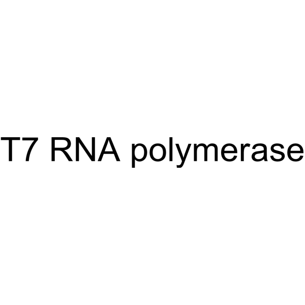 Molecular structure of 