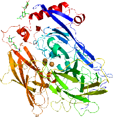 Molecular structure of