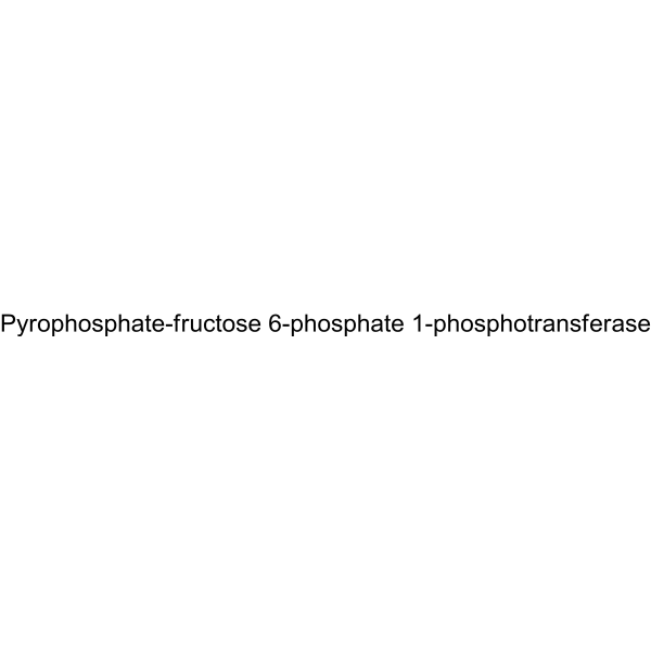 Molecular structure of