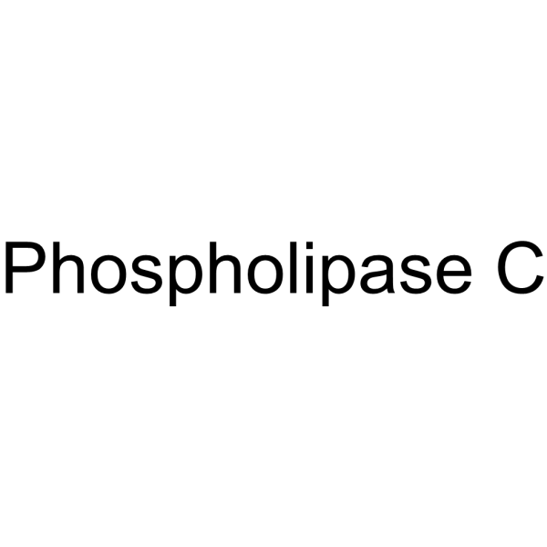 Molecular structure of