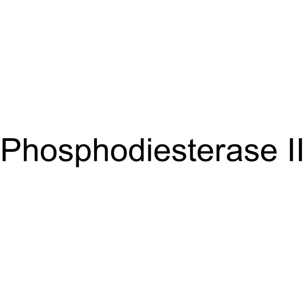 Molecular structure of