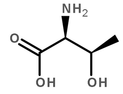 Molecular structure of C4H9NO3