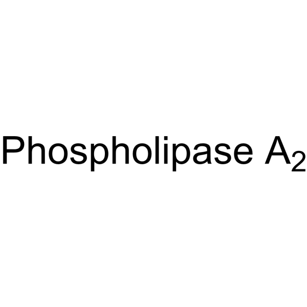 Molecular structure of