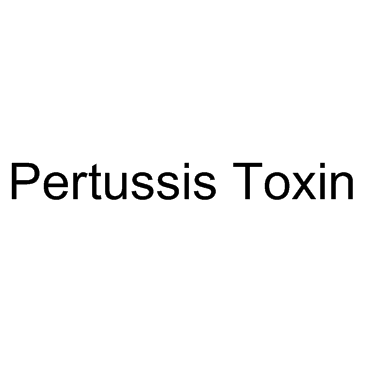 Molecular structure of 