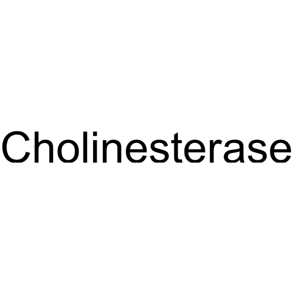 Molecular structure of