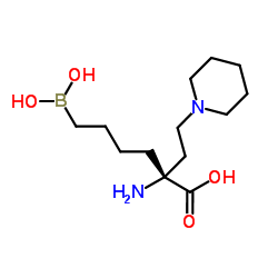 Molecular structure of C13H27BN2O4