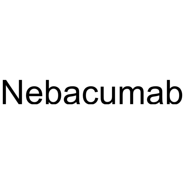 Molecular structure of