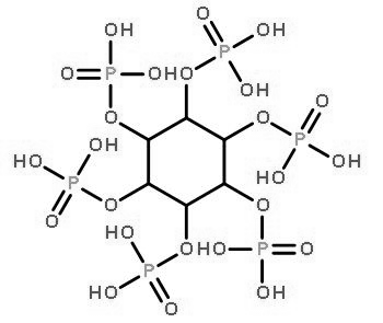 Molecular structure of C6H18O24P6