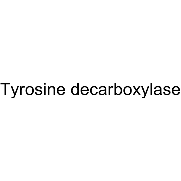 Molecular structure of 