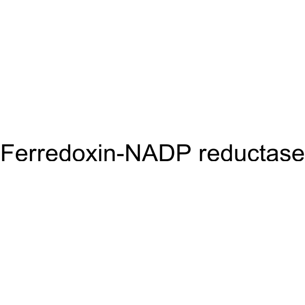 Molecular structure of 