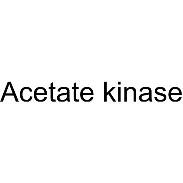 Molecular structure of
