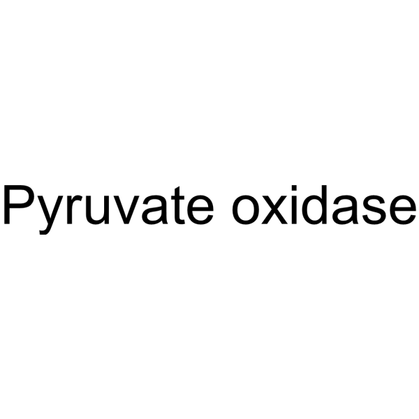 Molecular structure of