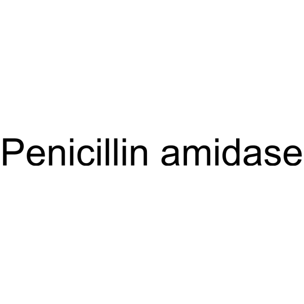 Molecular structure of