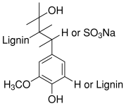 Molecular structure of