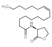 C20H35NO3 分子结构式