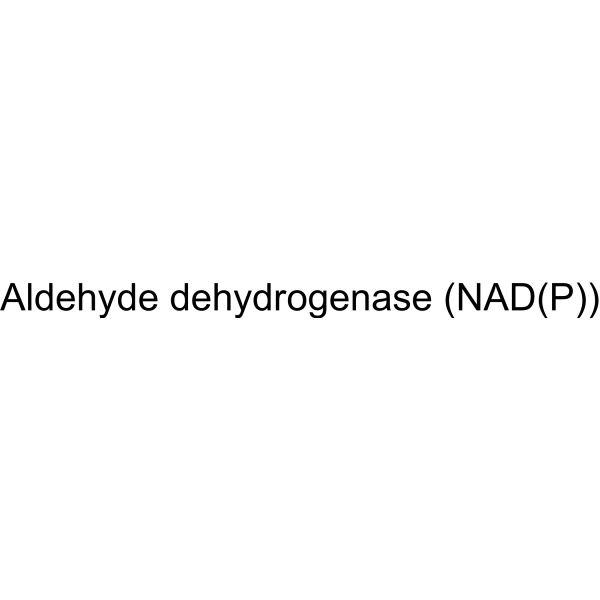Molecular structure of