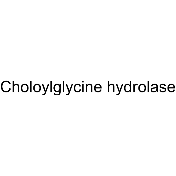 Molecular structure of 