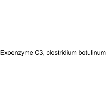 Molecular structure of