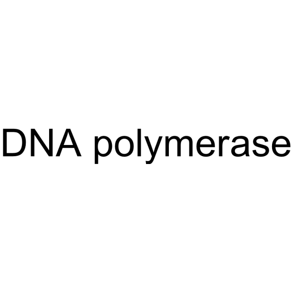 Molecular structure of