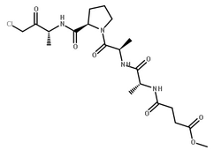 Molecular structure of C20H31N4O7Cl