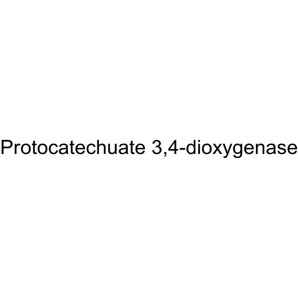 Molecular structure of