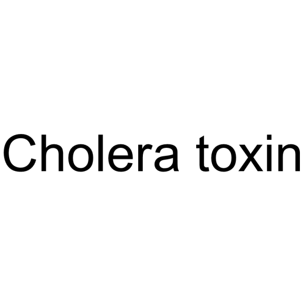 Molecular structure of