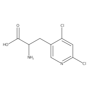 Molecular structure of C8H8Cl2N2O2