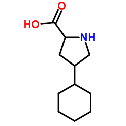 Molecular structure of C11H19NO2