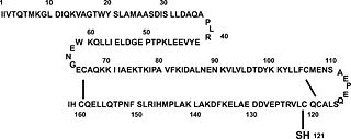 Molecular structure of