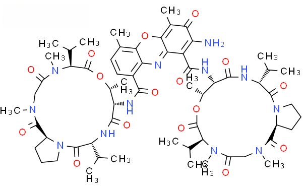 Molecular structure of