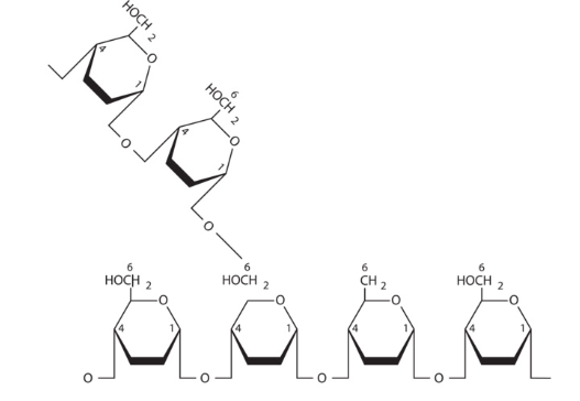 Molecular structure of