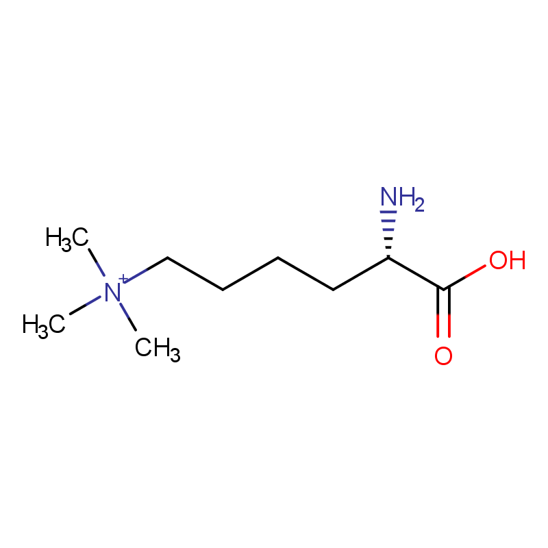 Molecular structure of