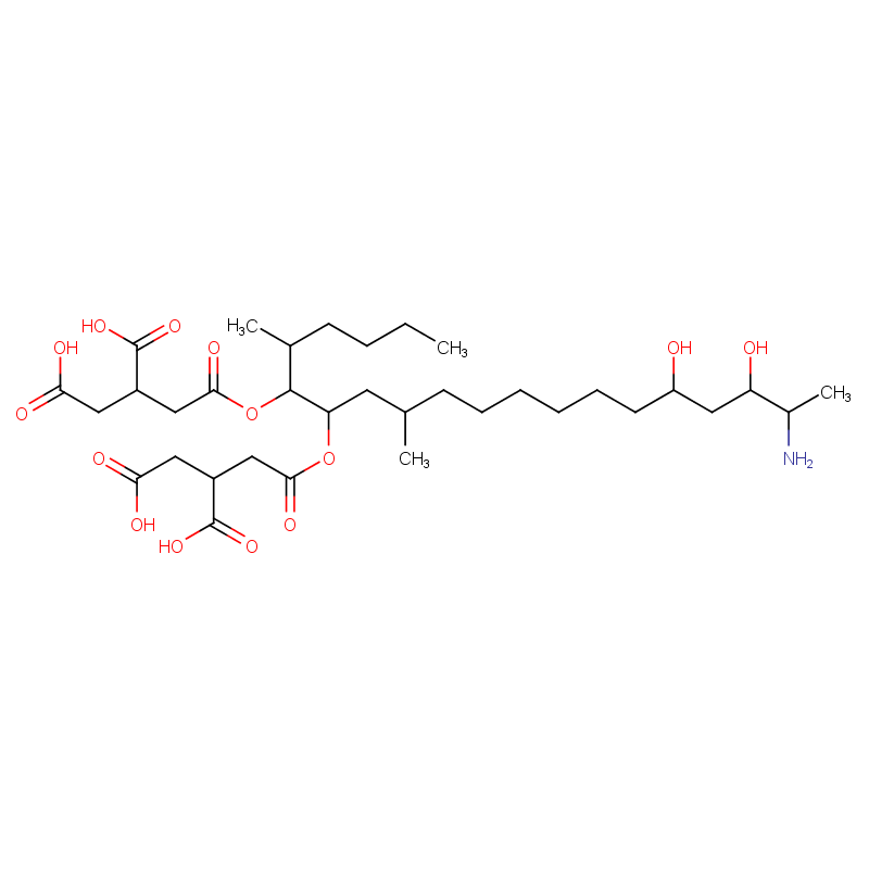 Molecular structure of
