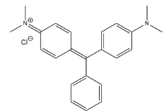 Molecular structure of