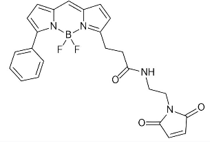 Molecular structure of