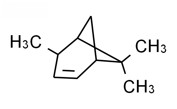 Molecular structure of C10H16