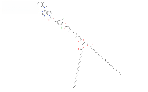 Molecular structure of