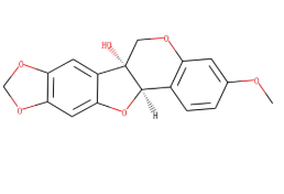 Molecular structure of