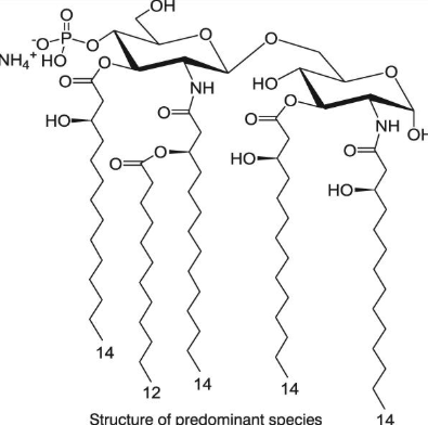 Molecular structure of