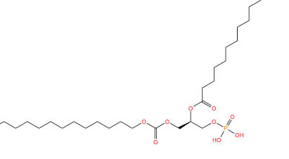 Molecular structure of RN⁺(CH3)2CH2COO⁻