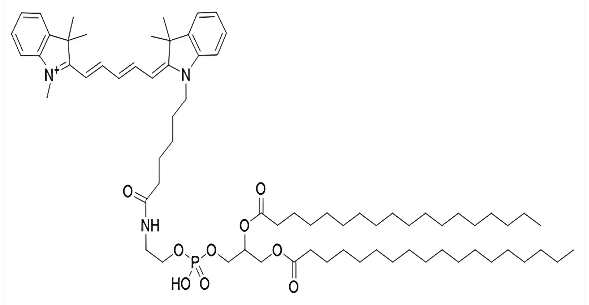 Molecular structure of
