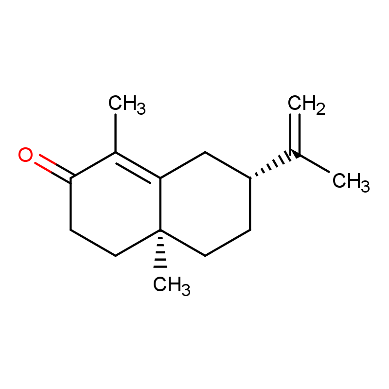 Molecular structure of