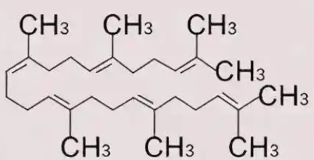 Molecular structure of